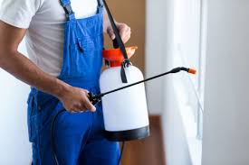 Emergency Pest Control Services in Adelanto, CA